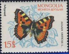Small Tortoiseshell (Aglais urticae)