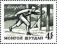Cross Country Skier