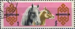 Mare with Foal (Equus ferus caballus)