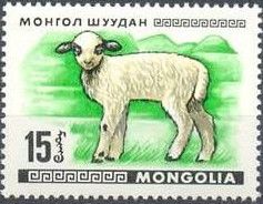 Lamb (Ovis ammon aries)