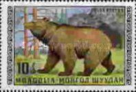 Brown Bear (Ursus arctos)
