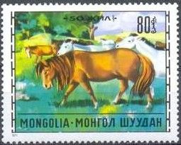 Horse (Equus ferus caballus)