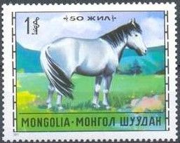 Horse (Equus ferus caballus)
