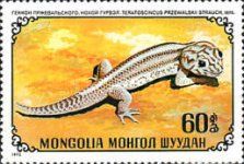 Przewalski's Wonder Gecko (Teratoscincus przewalskii)