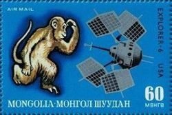 Monkey, Explorer - 6