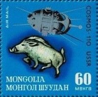 Pig, Cosmos 110