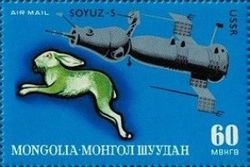 Hase, Soyuz-5