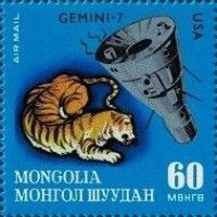 Tiger, Gemini 7