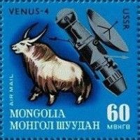 Yak, Venus 4