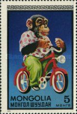 Monkey on Bicycle