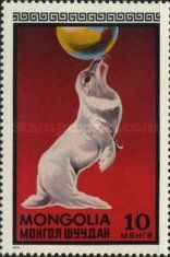 Seal with Ball