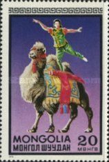 Acrobat on Camel