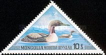 Black-throated Loon (Gavia arctica)