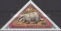 European Badger (Meles meles)