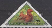 Eurasian Red Squirrel (Sciurus vulgaris)