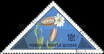 Silene mongolica