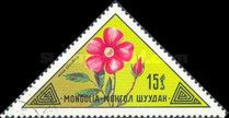 Rosa davurica