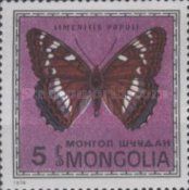 Poplar Admiral (Limenitis populi)