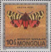 Hebe Tiger Moth (Arctia hebe)