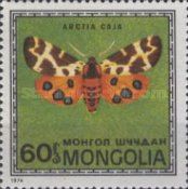 Garden Tiger Moth (Arctia caja)