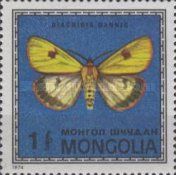 Clouded Buff (Diacrisia sannio)