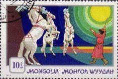 Performing Horses