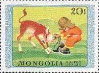 Child and calf