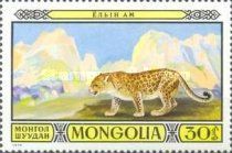 Leopard (Panthera pardus)
