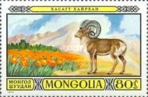 Mouflon (Ovis orientalis)