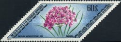 Allium mongolicum