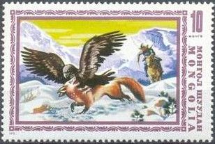 Golden Eagle (Aquila chrysaetos), Red Fox (Vulpes vulpes)