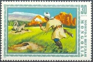 Hunter stalking Tarbagan Marmots (Marmota sibirica)