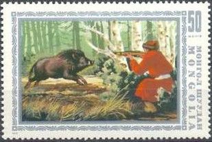 Wild Boar (Sus scrofa) Hunting