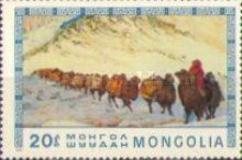 Camel Caravan - Bactrian Camel (Camelus bactrianus)