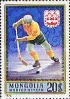 Ice Hockey