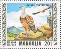Griffon Vulture (Gyps fulvus)