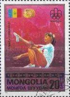 Nadia Comaneci, Romanian flag