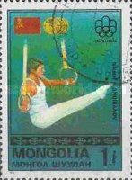 Nikolai Andrianov, Russian flag