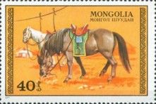 Grazing horses