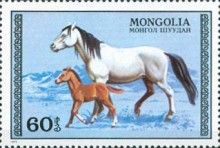 Mare with Foal (Equus ferus caballus)