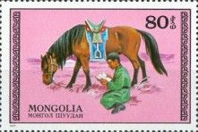 Grazing horse & student
