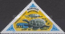 Mongolemys elegans