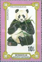 Giant Panda (Ailuropoda melanoleuca)
