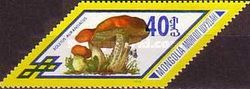 Red Cap (Boletus aurantiacus)
