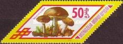 Brown Birch Bolete (Boletus scaber)