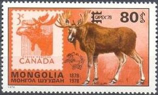 Moose (Alces alces)