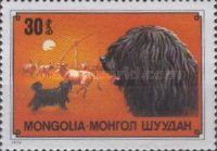 Puli (Canis lupus familiaris)