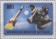Laika (Canis lupus familiaris)
