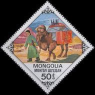Woman leading packed Bactrian Camel (Camelus bactrianus)