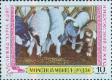 Lambs, Sanzhid